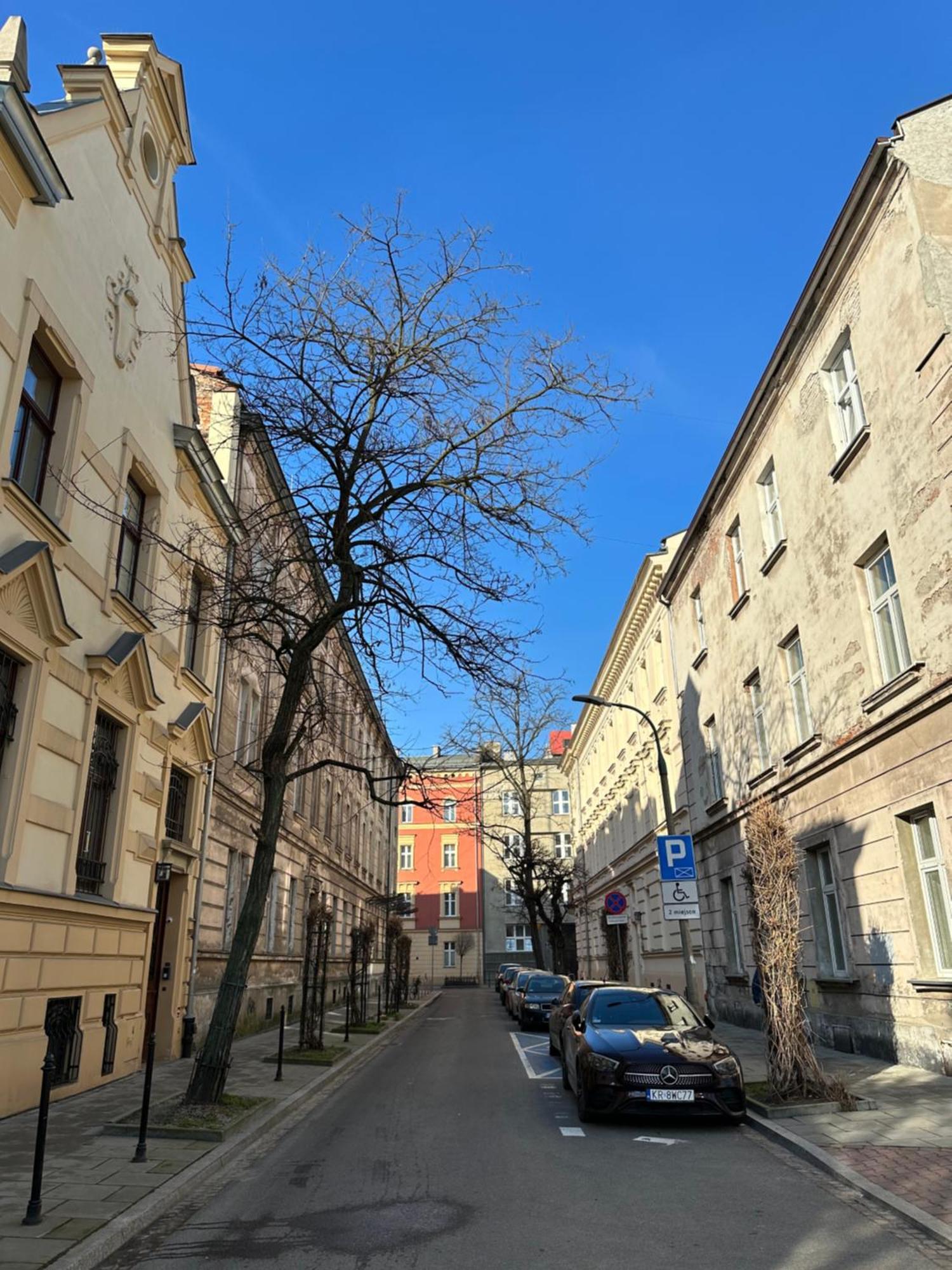 Perfect Place To Stay In Krakow City Center 18M2 W5 Экстерьер фото